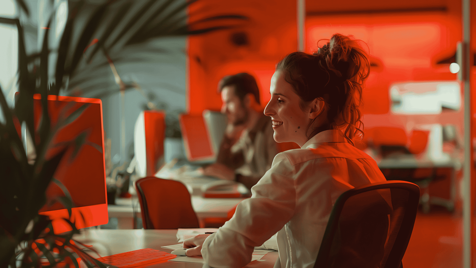 bark website development aperth 2